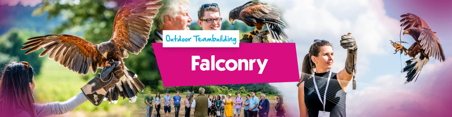 Falconry Banner